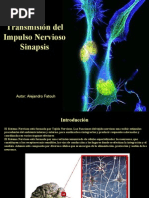 Fatouh - 4to Año - Transmisión Del Impulso Nervioso