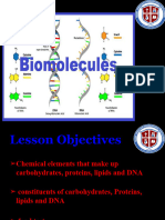 Biological Molecules