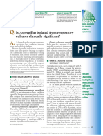 Is Aspergillus Isolated From Respiratory Cultures Clinically Significant