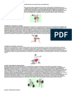 Descripcion D Las Tecnicas de Los Ejercicios