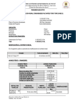 Resumen Ejecutivo Toro Toro Fase 3