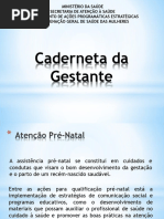 Caderneta Da Gestante MS Cópia