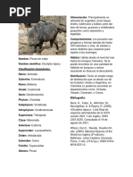 PDF Documento