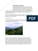 Contaminación de Ríos en Macuspana