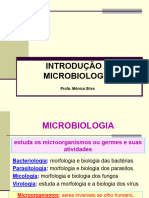 Aula Microbiologia 1 ENFERMAGEM - Introdução