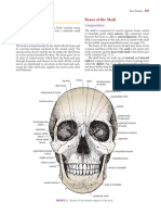 General Anatomy - 8