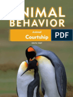 Animal Behaviour - Animal Courtship