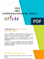 Adecuaciones Curriculares