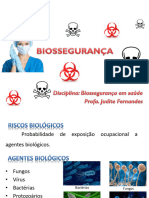 Aula - Riscos Biolgicos