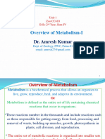 Stages of Metabolism I