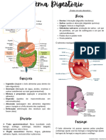 Resumen de Sist. Digestorio - Brasil