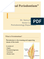 Normal Periodontium PDF