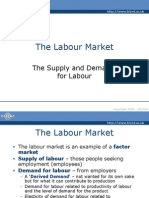 The Labour Market Supply and Demand