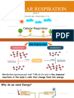 Cellular Respiration