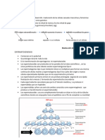 Resumen Embirologia 2º Semestre