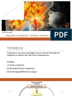 Aula 5. Trombose, Embolia, Infarto, Choque