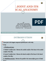 Bams 1st Year Knee Joint and Its Clinical Anatomy