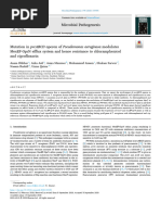 Mutation in PvcABCD Operon of Pseudomonas Aeruginosa Modulates