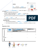 06 - Cell Specialization and Organization (Solutions2)