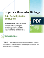 Carbs and Lipids