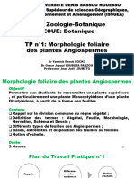 2024 - TP1 - Morphologie Folière