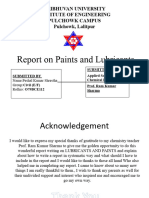 Report On Paints and Lubricants