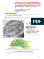 Fiche D Activite Le Chloroplaste Et Les Pigments Photosynthetiques