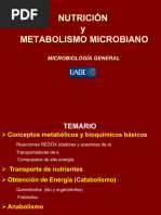 Clase 4 Metabolsimo