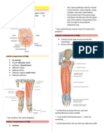 General Anatomy Muscles and Nerves