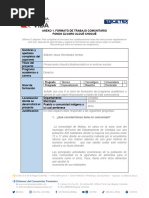 Anexo-1-Formato-Trabajo-Comunitario-Postulacion Aldemir Hernandez 2.0