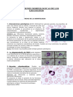 Alteraciones Morfologicas de Los Leucocitos: Granulaciones Patológicas (Antes Tóxicas)