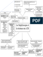 Carte Mentale ATB Staph