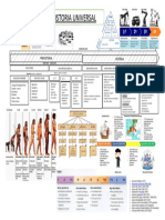 Linea de Tiempo Universal 2024