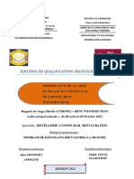 RAPPORT BLONDE (Enregistré Automatiquement)