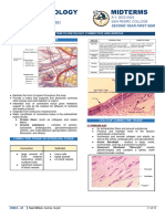 WEEK 5 Connective and Adipose - Docx 1