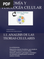 Anatomia y Fisiología Celular