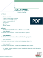 Roteiro de Aula Pratica Fermentacao Estudante