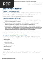 Sistema Endocrino