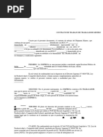 PDF Documento