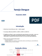 Manejo Dengue