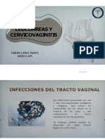 Aps Leucorreas y Cervicovaginitis