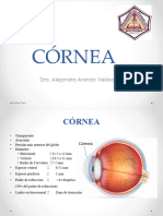 Tema 7 Córnea