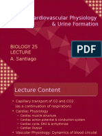 Cardiovascular Physiology & Urine Formation: Biology 25 A. Santiago