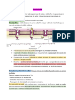 Resumo P1