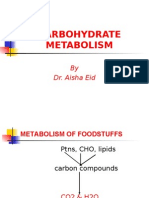 Carbohydrate Metabolism