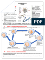 Fiche3 Gentique