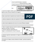 Cuestionario para La Prueba Ecosistema 4to Básico