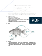 Examen de Biología Respuestas