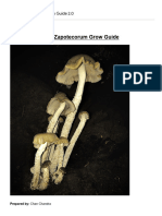 Psilocybe Zapotecorum Grow Guide 2.0