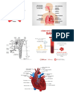 Impresiones Salud